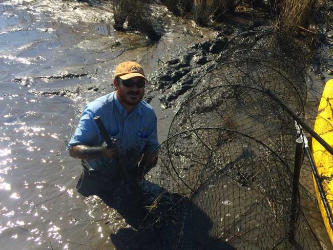 Stuck In The Mud