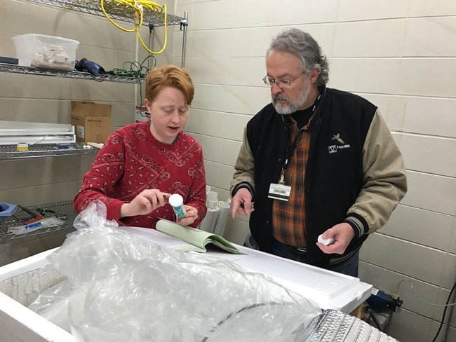 Testing Water Quality for Shrimp