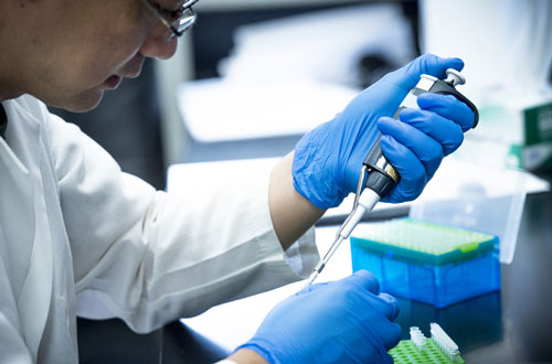 Lab