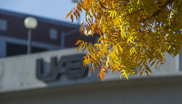 One of the UAB pedestrian bridges over University Blvd. 