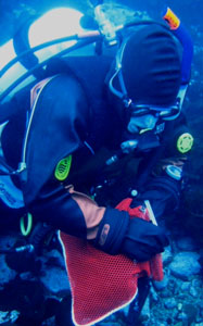 One of the UAB team members underwater in Antarctica, 2014.