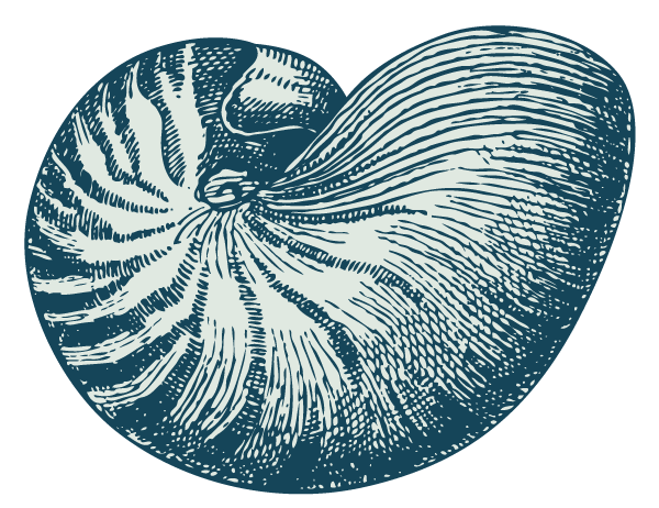 shell