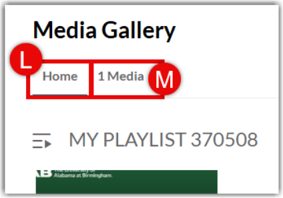 the completed Media Gallery interface displaying the new playlist on the Home tab labeled (L) and a Media tab labeled (M) to view all channel media.