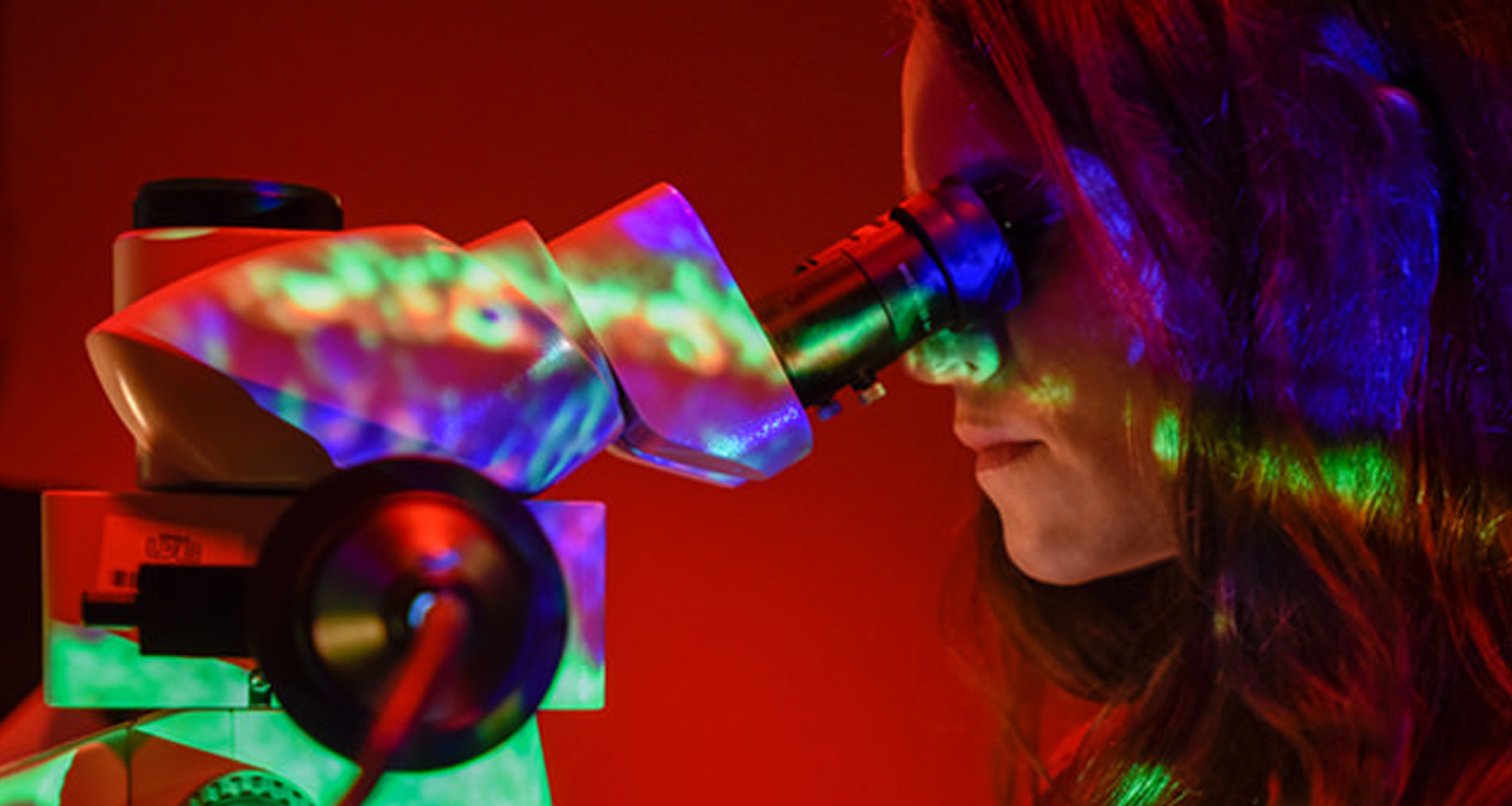Vision Science Network Vision Science, PhD | Find Your Degree