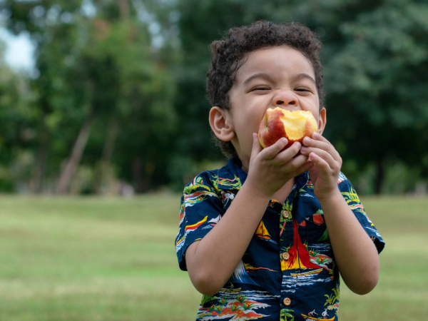 AdobeStock_411894190 - Adobe Stock Image of child eating apple By complearn_2001