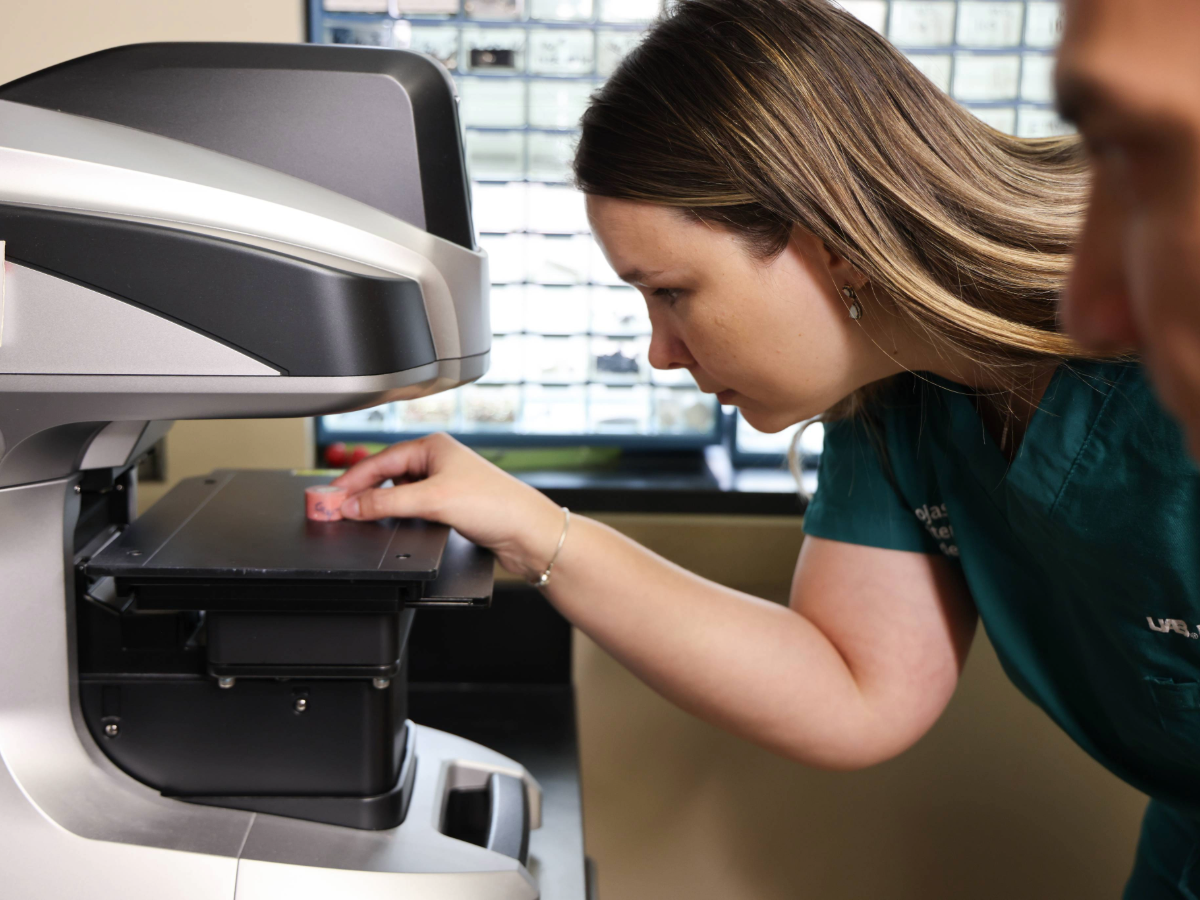 Summer Research Partnerships