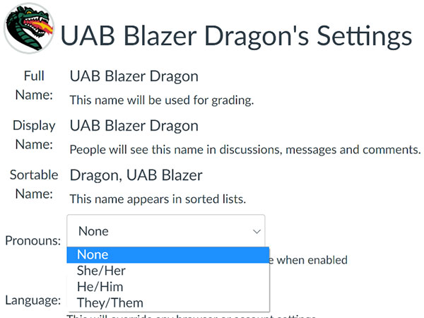 Screenshot of Canvas name settings. 