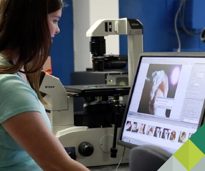 Female student looking at computer visualization of a knee replacement. 