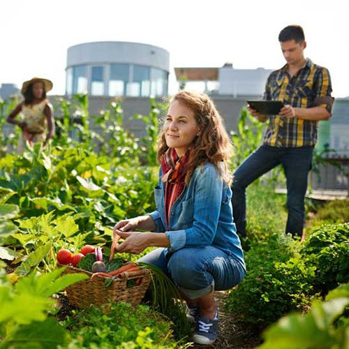 Environmental Engineering