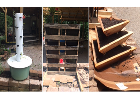 Vertical Gardening 1