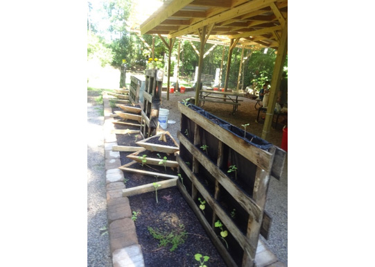 Vertical Gardening 2