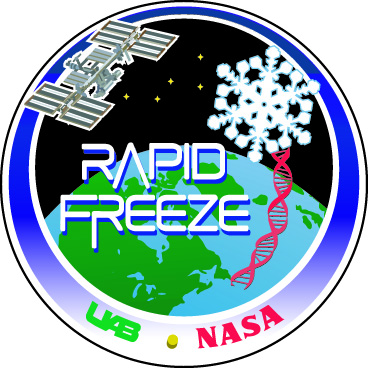 Rapid Freeze logo/patch design