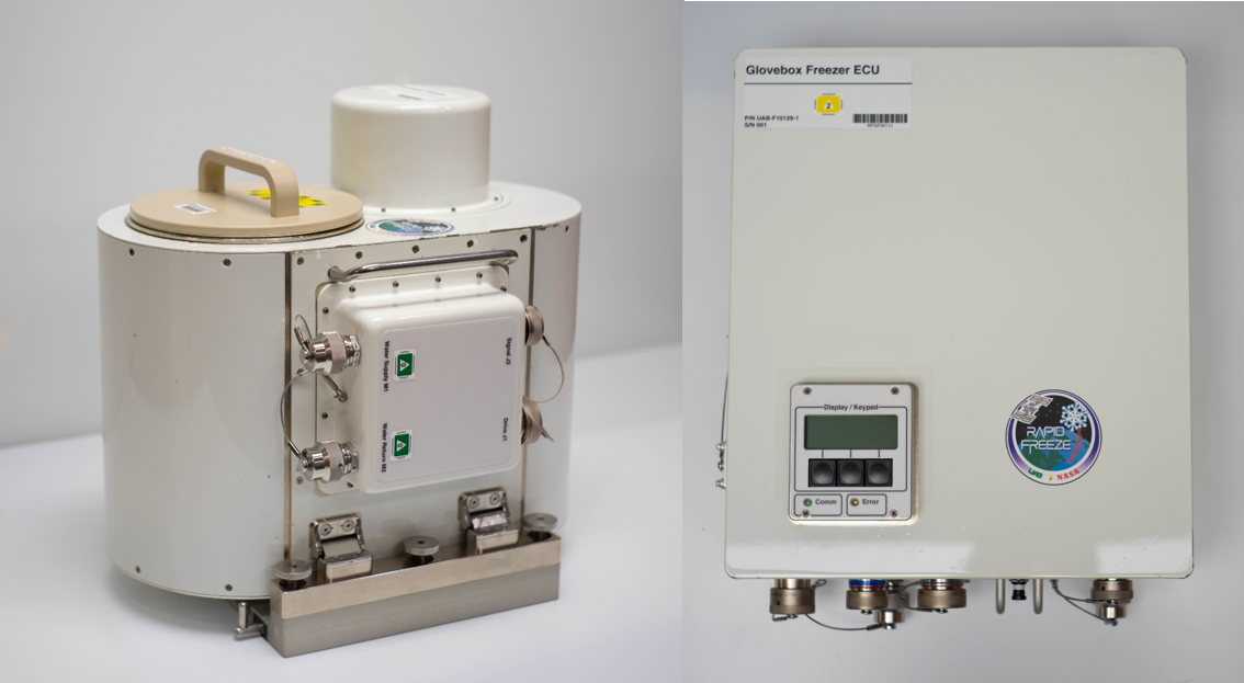 Glovebox freezer system in brightly lit room