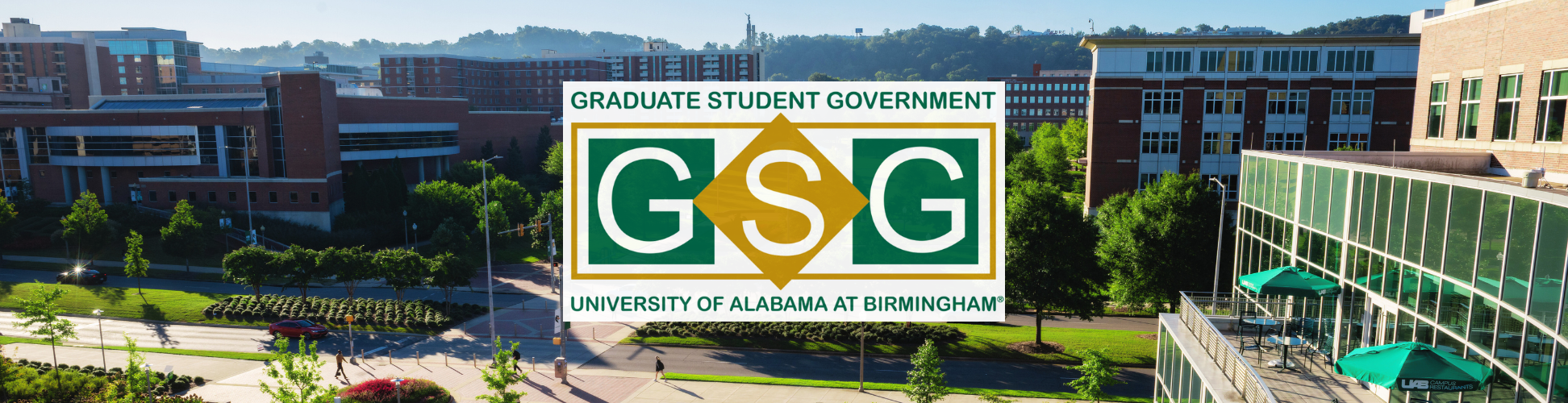 GSG Color Banner