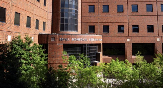 UAB Rolls Out Microsoft Fabric with Research Reporting