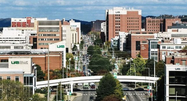 Research Strategic Initiative application launches