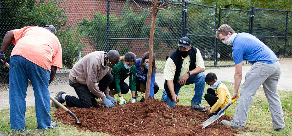 Volunteers planting a tree.