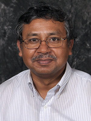 Banerjee, Sanjib, Ph.D.