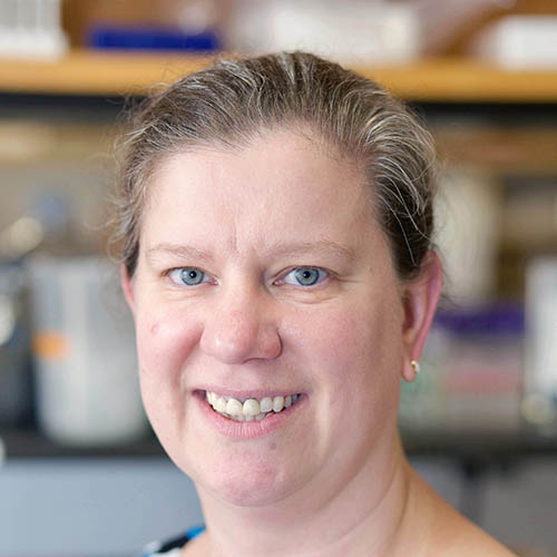 Headshot of Dr. Bellis Susan