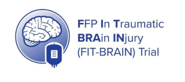fitbrainlogo