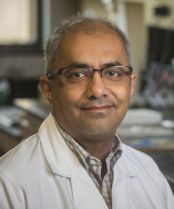 Raman, Chander, Ph.D.