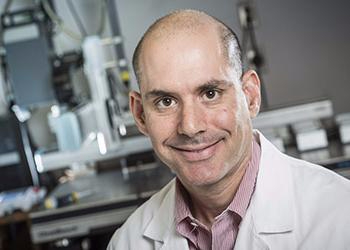 Professor Steve Rowe, MD, MSPH