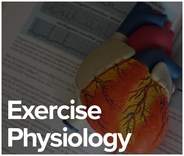 Exercise Physiology