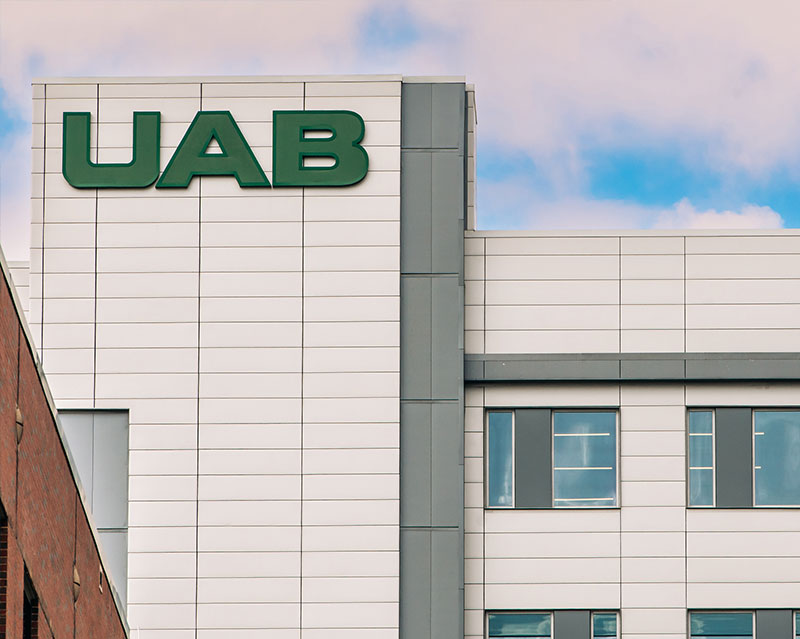 group of students studying