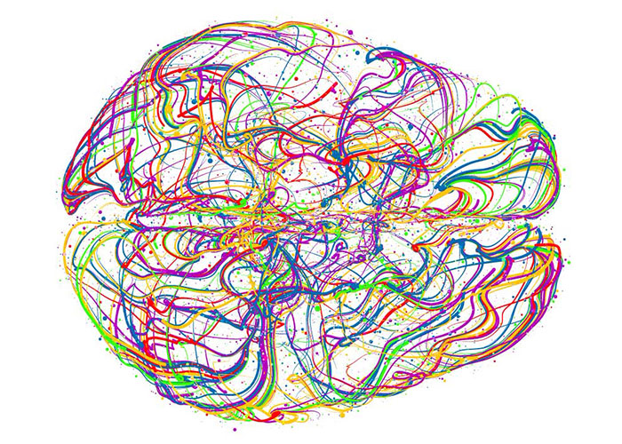 Brain2 700x500