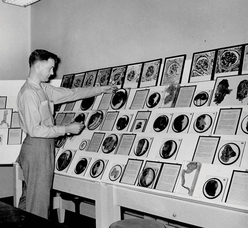 BoydSpecs ARCHIVES