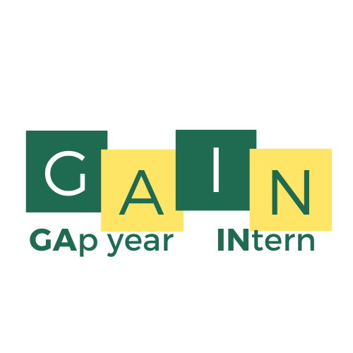 Gap Year Internship