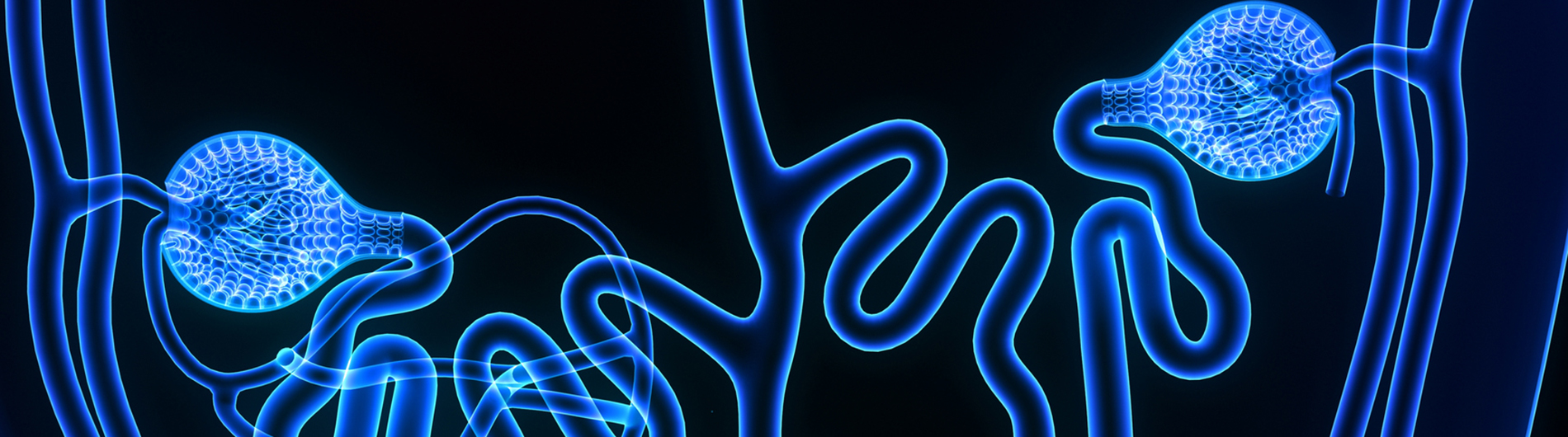 Nephrology UAB Nephrology UAB