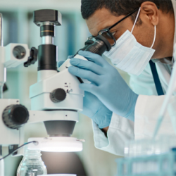 Clinical Nephrology Fellowships