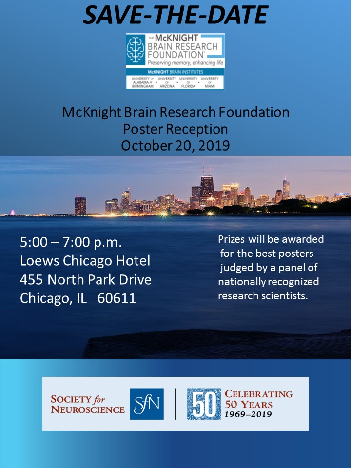 Flyer 2019 7