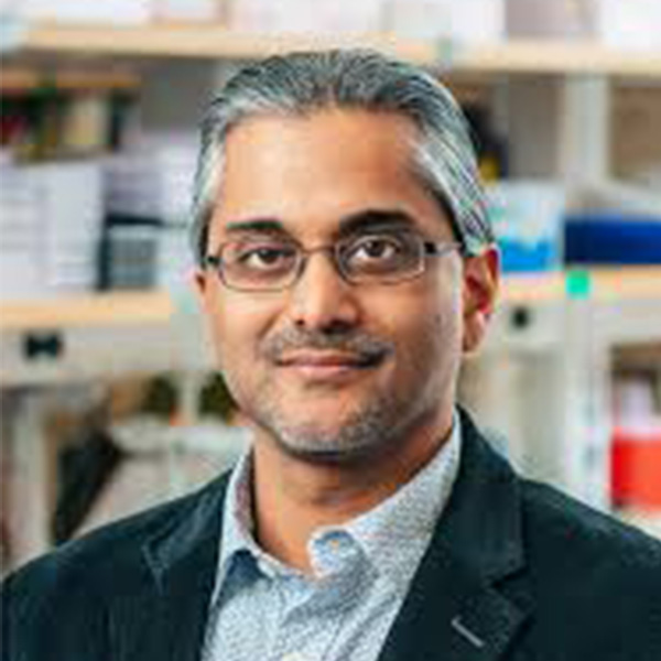 Saxena, Ankur