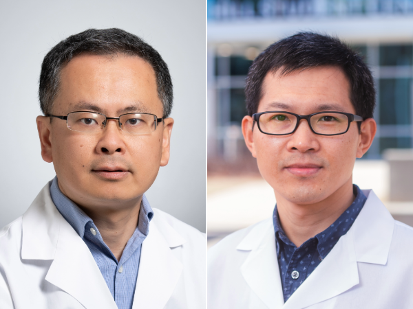 Gang Liu and Huachun Cui