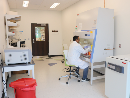 mccallum lab 3