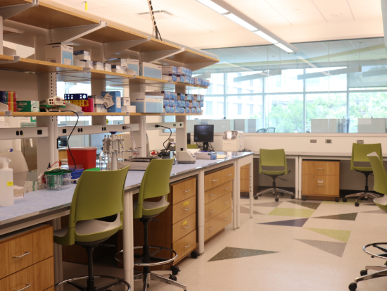 mccallum lab 4