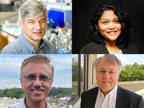 A 2x2 grid of four professional headshots. Top left shows a gray-haired man in a lab setting wearing a striped shirt, with scientific equipment blurred in the background. Top right shows a woman with shoulder-length curly dark hair smiling against a dark background. Bottom left shows a man with glasses and a mustache smiling outdoors with a cityscape behind him. Bottom right shows an older man with gray hair and glasses wearing a suit jacket, standing near a window with greenery visible outside.