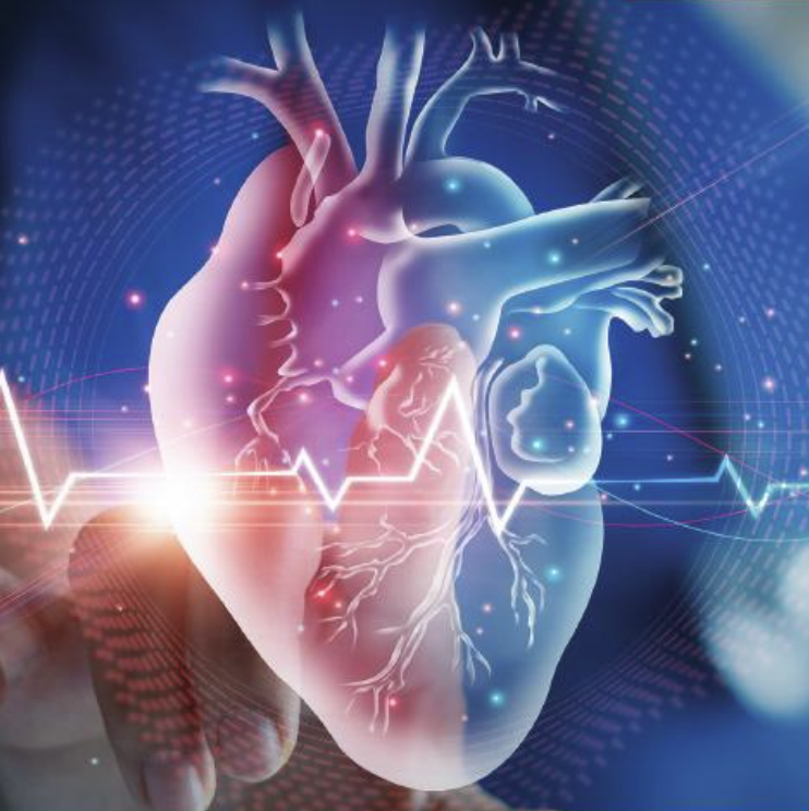 CVI2023 heart1