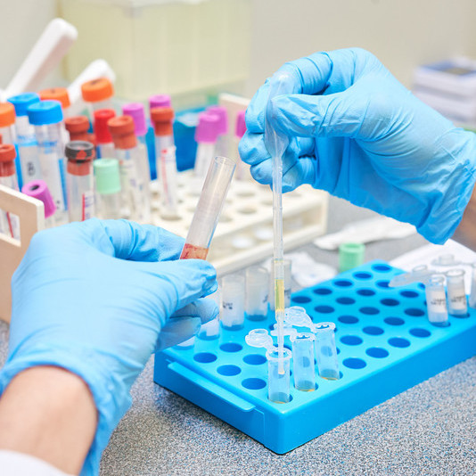 Lab scr