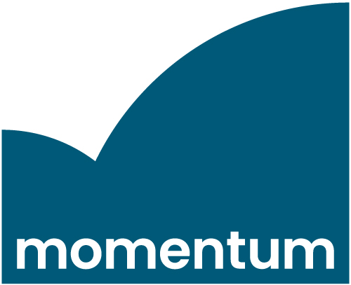 MMNTM ExecutiveLeadership Logo 1