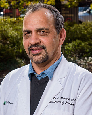 Girish Melkani, Ph.D.