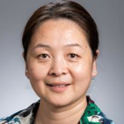 y wang article