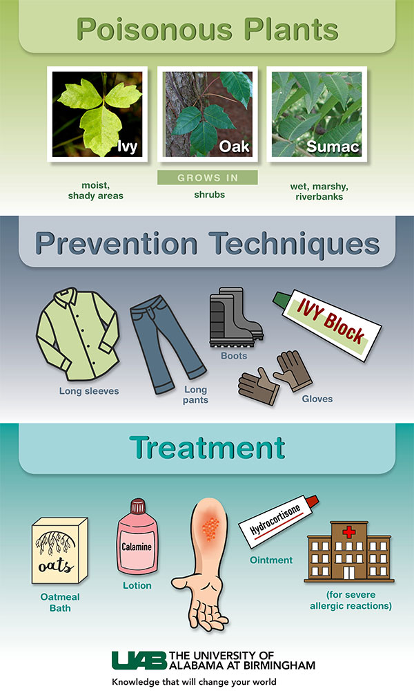 Infographic on poisonous plants - all info is in article text. 