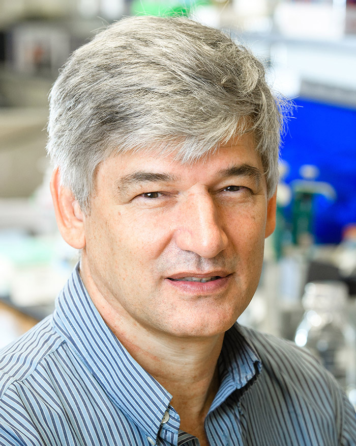 “Establishing an intercontinental alliance between UAB and the Africa Health Research Institute in South Africa to accelerate research and training to help end the tuberculosis pandemic”