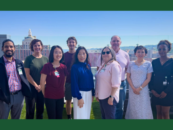 Group of nine employees standing together on an outdoor rooftop terrace with a city skyline in the background.