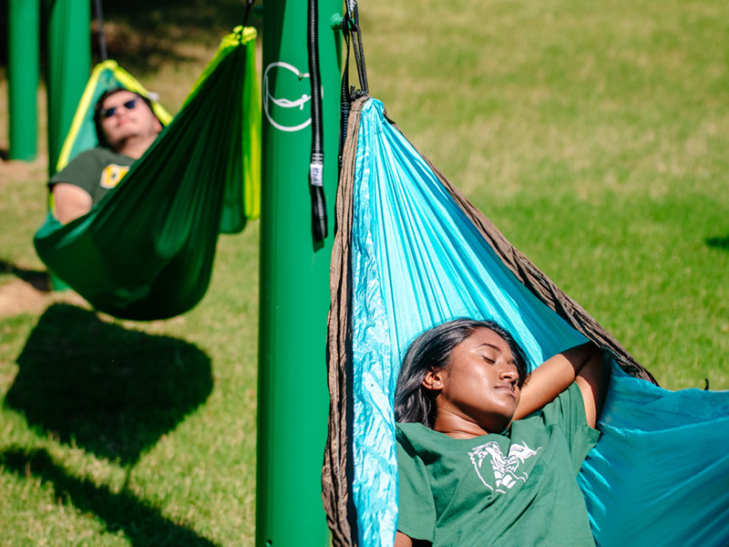Two students relax in hammocks on a grassy campus.
