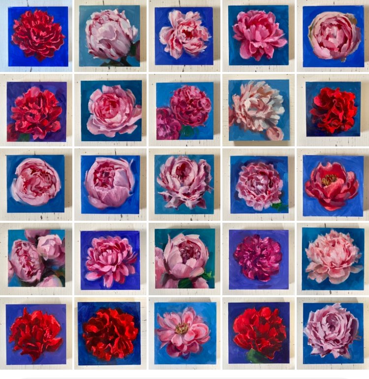x25 peonies