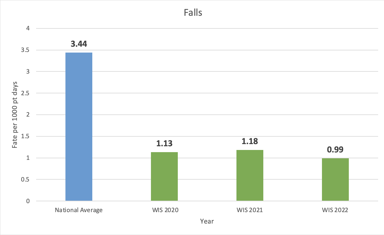 Patient Injuries and Falls